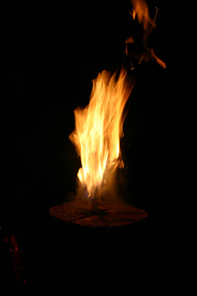 2006-194.jpg